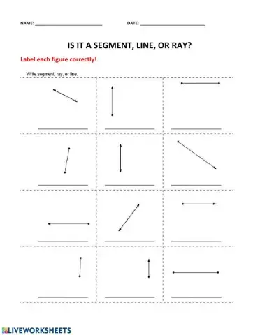 Segment, Line, or Ray?