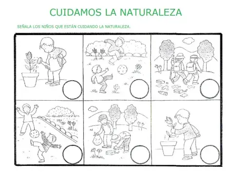 Cuidamos la naturaleza
