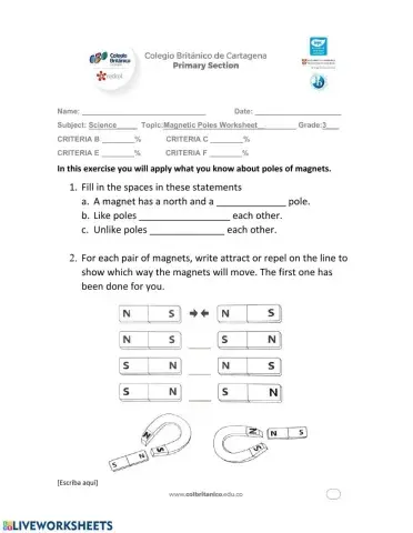 Magnetic Poles Worksheet
