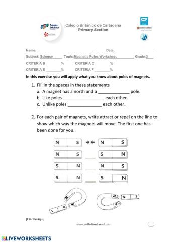 Magnetic Poles Worksheet
