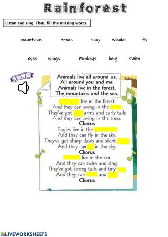 Rainforest (Listening)