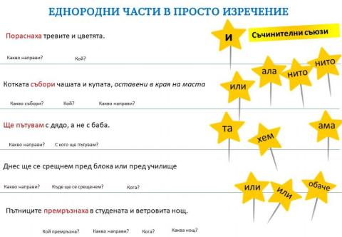 Еднородни части