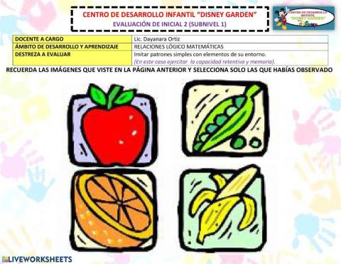 Ejercicios de Memoria Visual y Capacidad Retentiva