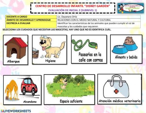 Cuidados paras las mascotas