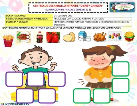 Alimentos saludables y chatarra