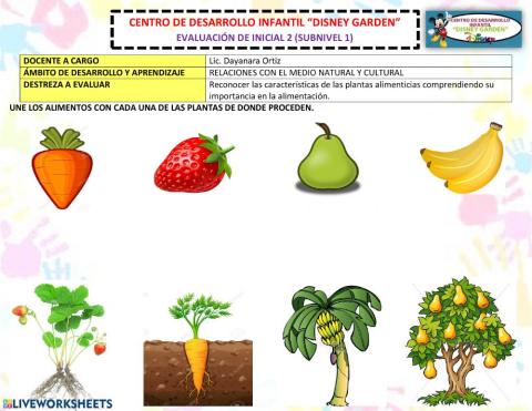 Las plantas alimenticias