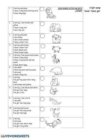 Aמןצשךrןגגךקד