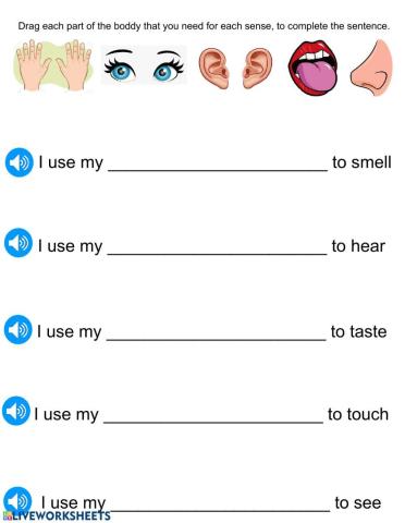 Nueva pract 2 five senses