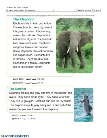 Animals Reading comprehention