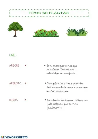 Tipos de plantas