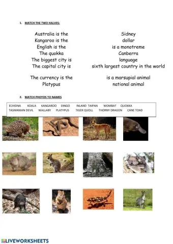 Australian facts and animals