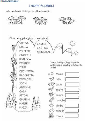 Nomi plurali