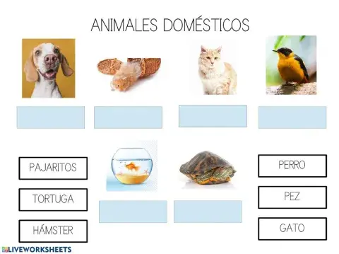 Animales domésticos