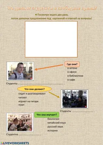 Что делают студетнты в свободное время?