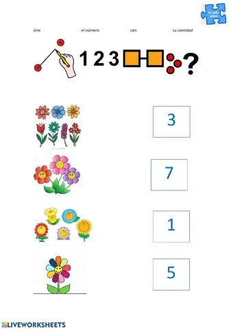 Número y cantidad -primavera-