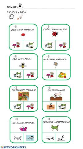 Comprensión -¿qué?