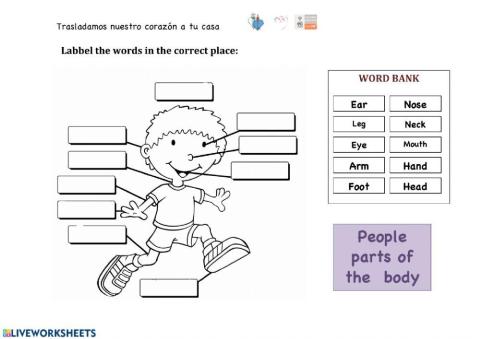Parts of an Animal vs Parts of a Person
