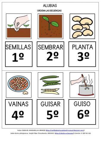 Ciclo vital de la alubia