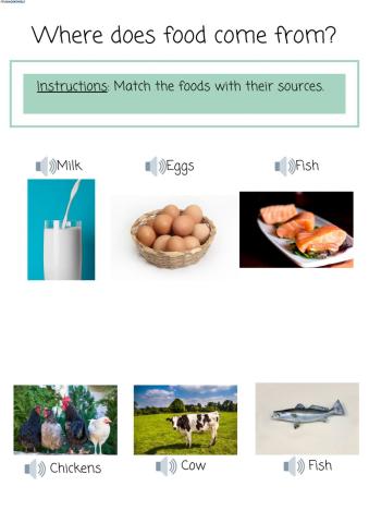 Where Does Food Come From?