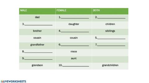 Family Vocabulary