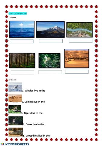 Wild animals places qhere they live