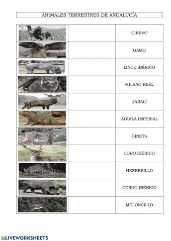 Animales terrestres en andalucia