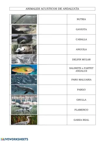 Animales acuáticos de andalucía