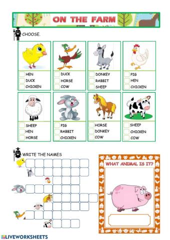 Farm animals 4
