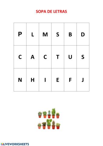 Sopa de letras