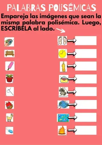 Palabras polisémicas