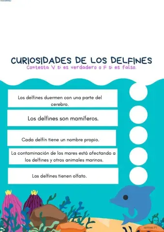 COMPRENSIÓN ORAL. Curiosidades de los delfines