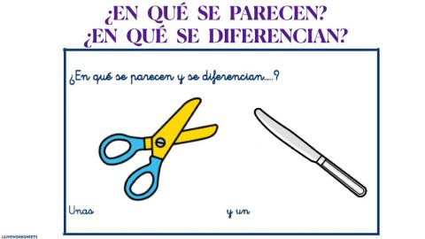 En que se parecen y en que se diferencian