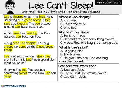 Lee Ca't Sleep