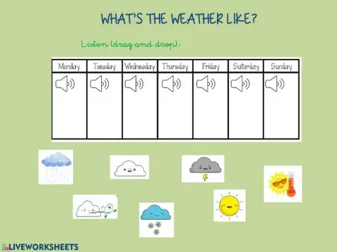 What's the weather like?