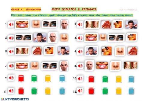 Parts of the Body and Colours - Practice