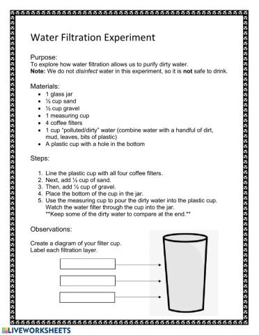 Water Filtration Experiment
