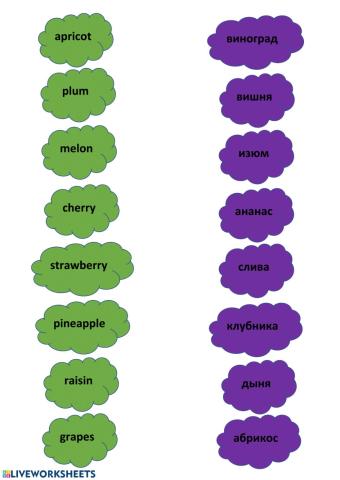 Fruits Matching - Beginner