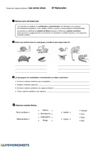 Ficha 3 repaso-refuerzo Naturales  6º primaria 
