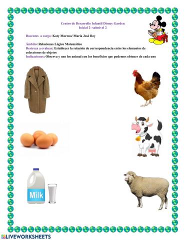 Ámbito Relaciones  Lógico Matemático