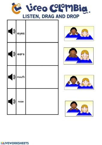 Eyes, ears, mouth and nose