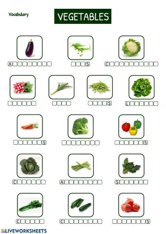 VEGETABLES vocabulary