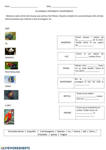 ANIMALS VERTEBRATS I INVERTEBRATS