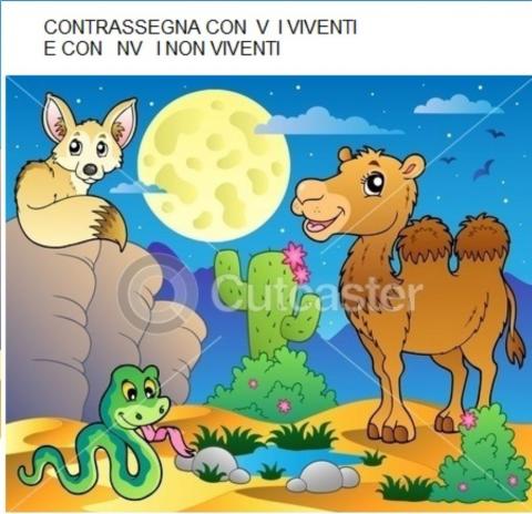 VIVENTI E NON VIVENTI