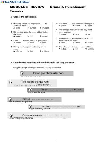 Crime & Punishment vocabulary Review