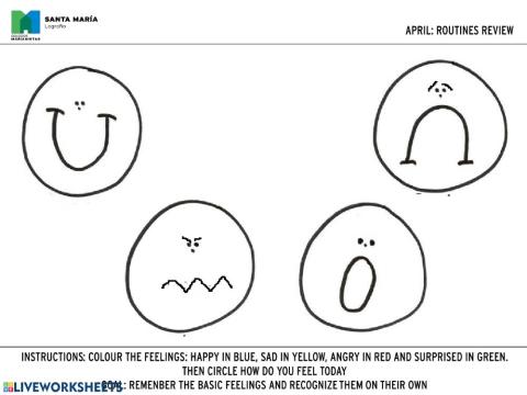 Feelings review for rabbits and tortoises