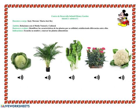 Ámbito Relaciones con el Medio Natural y Cultural