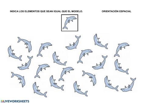 Orientación espacial