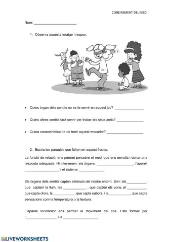 La relació i els sentits