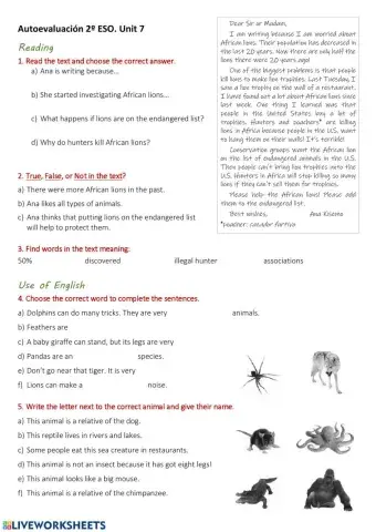 Self-evaluation unit 7 MRE