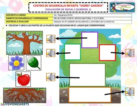 Las partes de la planta